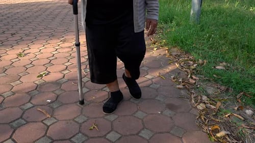 close up senior woman legs walking with walking stick in the park