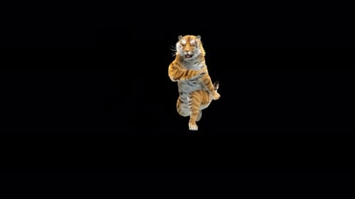 Tiger Tanzen 4K