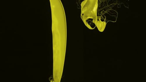 Bright Yellow Paint Bursts on a Black Background