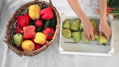 Colorful Vegetables Sorted in Basket and Crate