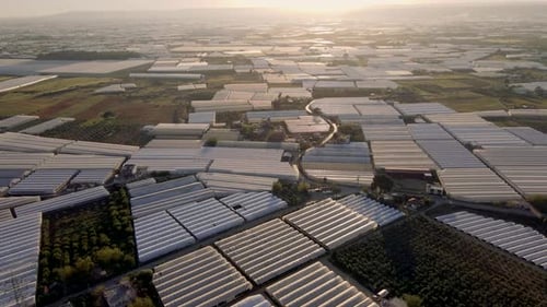 Flight Over Agricultural Greenhouses