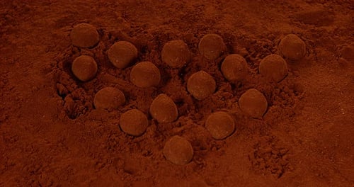 Chocolate Truffles Coated in Cocoa Powder Close Up
