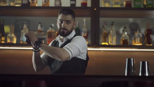 The Bartender in the Bar Prepares a Cocktail in a Shaker