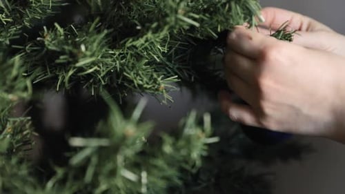 Hands Hang Blue Ornament on Christmas Tree