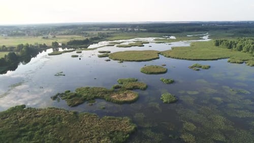Beautiful Aerial Shot of a Large Forest Lake.
