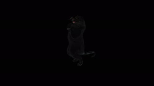 Realistic 3D Black Panther Roaring Animation Loop