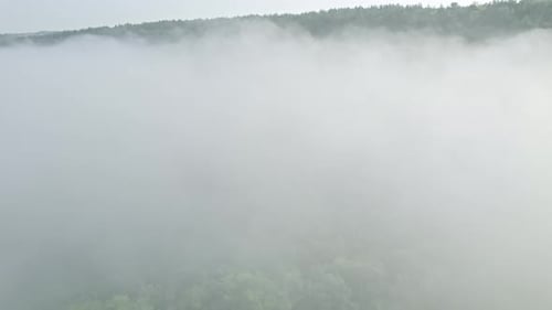 Aerial Drone View of Green Mountain Forest