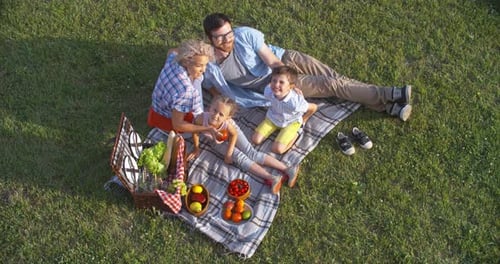 Family Picnic Fun in Green Field from Above
