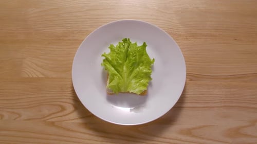 Making Open-Faced Sandwich on White Plate