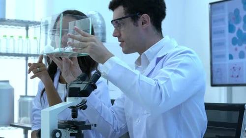 Scientist observing behavior experiment animals in laboratory