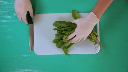Male Masterchef Chops Sorrel