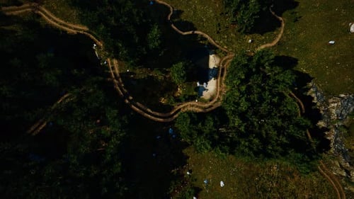 Aerial View of the Road Through the Forest