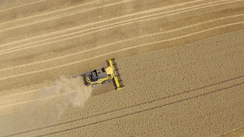 Top down view of Harvester machine working in wheat field