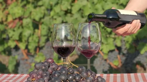 Frauenhand gießt Rotwein in Zeitlupe in Weinbergen in Glas