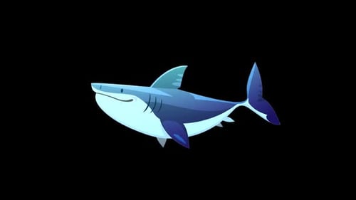 Animated Flat Design Shark Swimming Loop