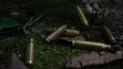 Bullet casings fall on the moss. Shooting in the forest. Slow motion.