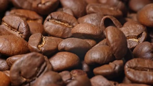 Extreme Close Up of Rich Roasted Coffee Beans