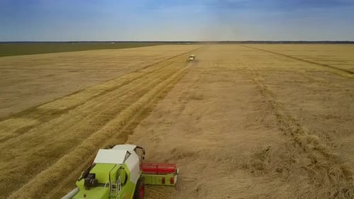Flycam pasa de cosechadora a cosechadora en lugar de campo de trigo
