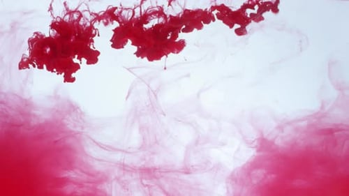 Red Paint Drops Falling in Transparent Liquid