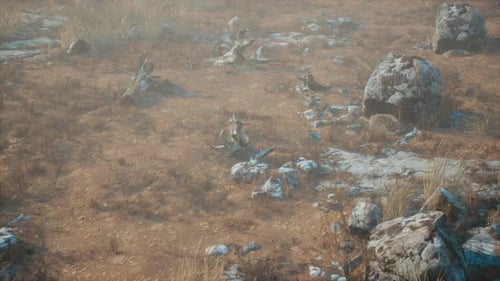 Realistic Desolate Rocky Landscape with Slow Camera Movement