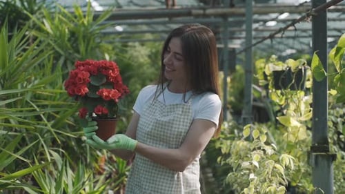 Woman Gardener Holding Flowers in Greenhouse