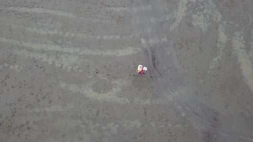 A farmer walk in paddy field
