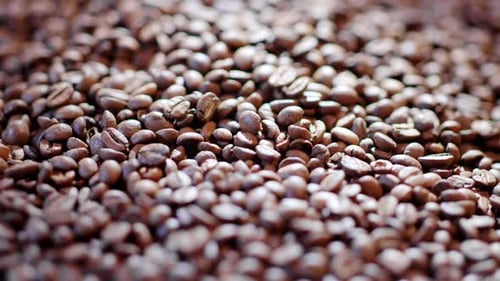 Closeup of Dark and Light Roast Coffee Beans in a Coffee Shop or a Production Facility