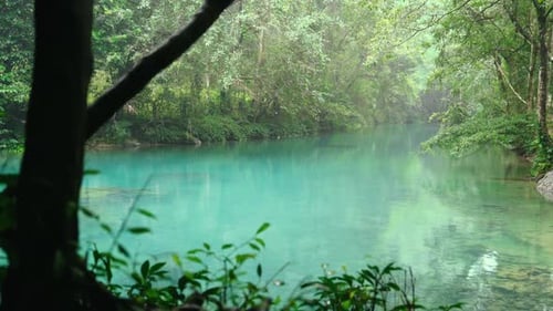 Still Turquoise Water in a Dense Forest