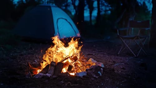 Camp Night (2K)