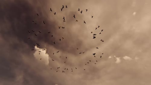 Flock of Birds Flying in Heart Shape Against Cloudy Sky