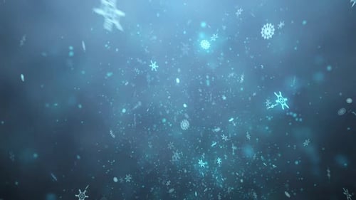 Snowy, New Year's Whirlwind