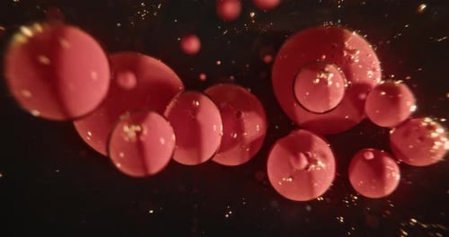Abstract Red Bubbles on Black Background