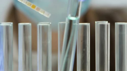 Écologiste mettant du papier tournesol dans un tube à essai avec de l'eau, vérifiant le niveau de pollution