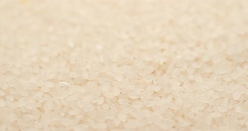 uncooked rice