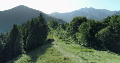 Biker Riding Mountain Bike Along Forest Trail Aerial View in Summer Sunny Day