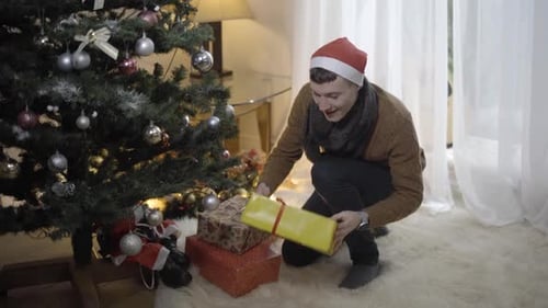 Man Arranging Christmas Presents Under Decorated Tree