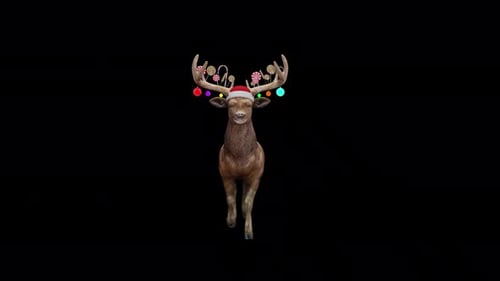 Santas Reindeer Fast Walk View From Front