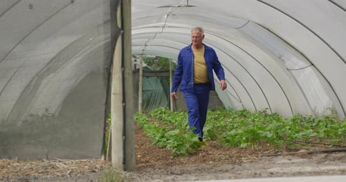 Mature man working on farm