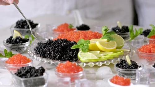 Tasting salmon caviar and black beluga sturgeon salted roe