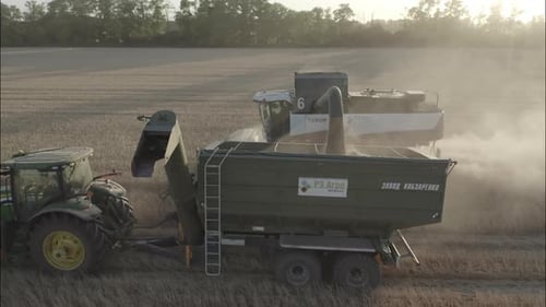 Combine Harvesting Wheat