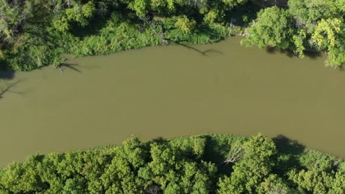 Aérea de cima para baixo, riacho do rio com água turva e lamacenta. Árvores da floresta na margem do rio