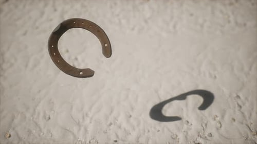 Realistic Horseshoe Falling and Landing in Sand with Shadow