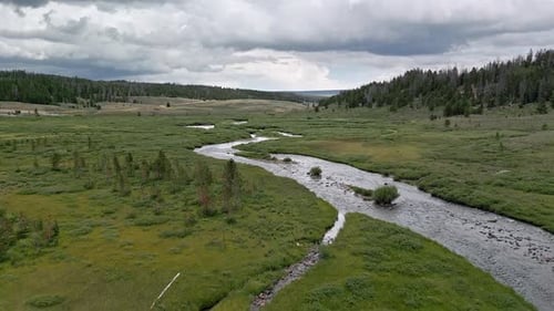 Flug flussabwärts über einen Fluss, der sich durch eine Graswiese