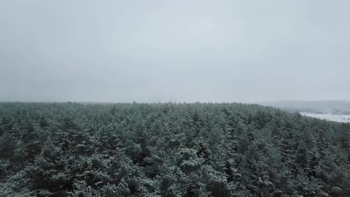Winter forest nature snow-covered winter trees landscape view from air.