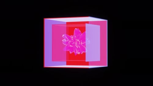 VJ Loop Abstract Background Virus in a Color Cube