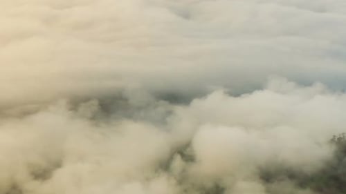Nebel bewegt sich
