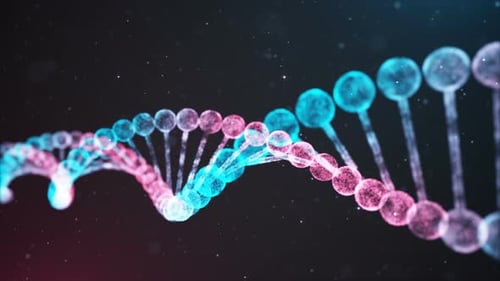 BiColor DNA Chain