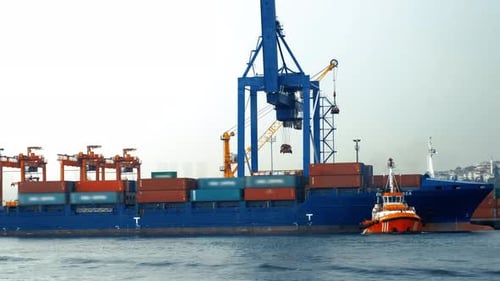 Cargo Harbor