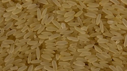 Pouring rice on a black background.