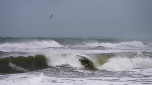 Epic Seascape Big Waves Are Crashing to the Coast at Storm